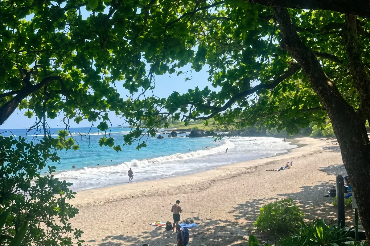 Hamoa Beach on Maui framed by tropical tree branches